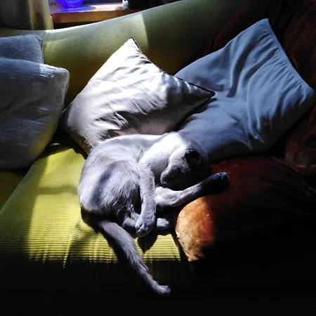 Bed and breakfast Les Chaumieres *